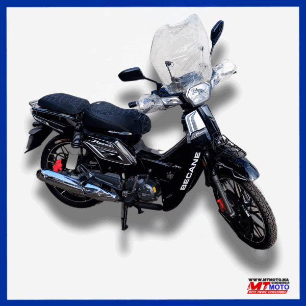 BECANE RIBEIRO 33 – 49CC